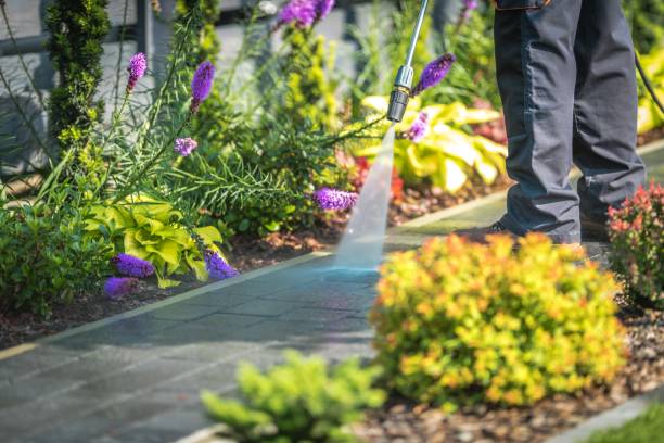  Gouldtown, NJ Pressure Washing Pros