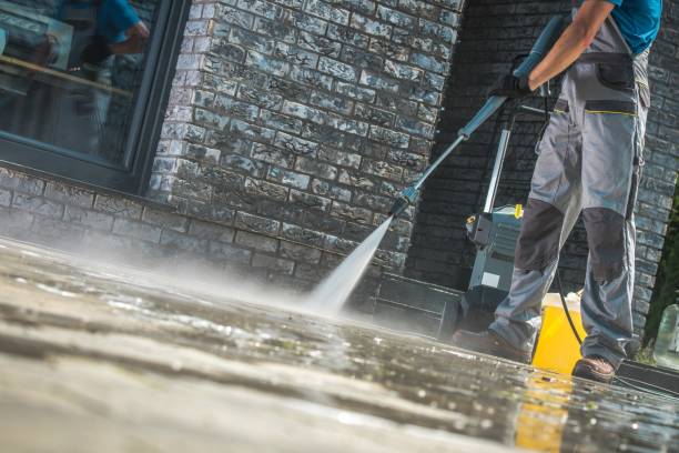 Best House Exterior Washing  in Gouldtown, NJ